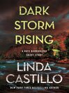 Cover image for Dark Storm Rising